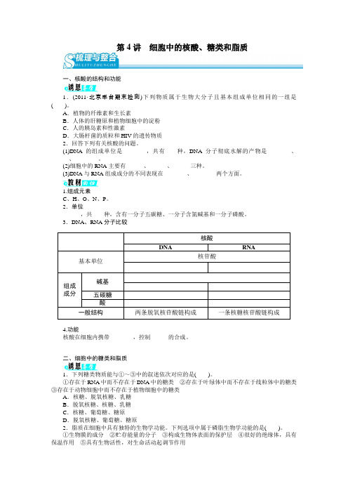 2012年高考第一轮复习生物必修一第一单元第4讲细胞中的核酸、糖类和脂质