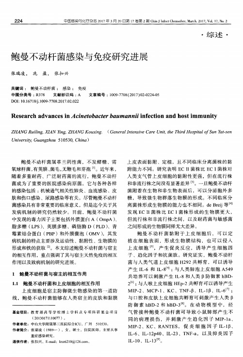 鲍曼不动杆菌感染与免疫研究进展