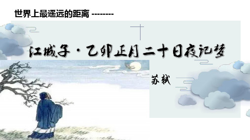 《江城子乙卯正月二十日夜记梦》
