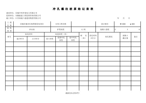 冲孔灌注桩原始记录表