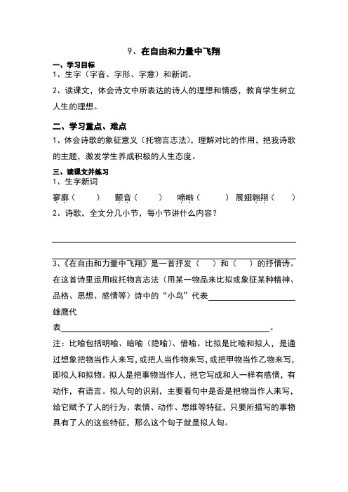 在自由和力量中飞翔