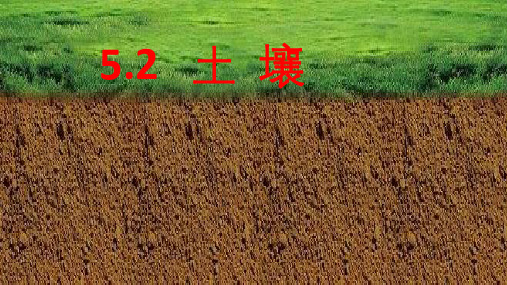 人教版新课标()高中地理必修一 土壤 课件(29页ppt)-PPT优秀课件