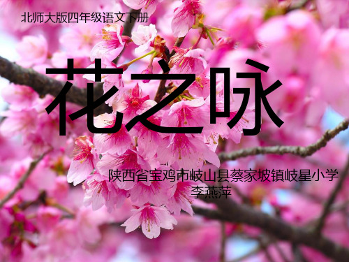 四年级下册语文课件-3.1 《花之咏》｜北师大版(共16张PPT)