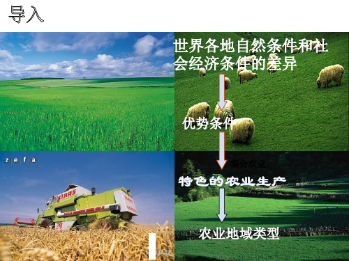 中图版高一地理必修二 世界主要农业地域类型