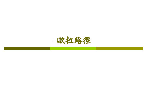 欧拉路径