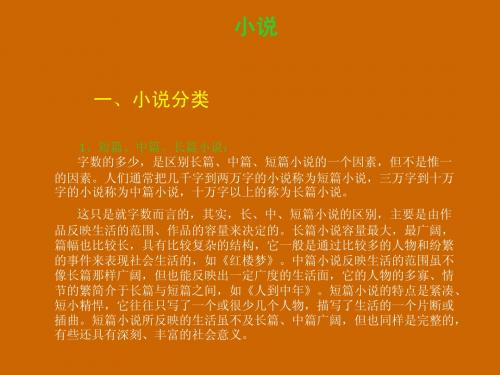 中国小说(简)