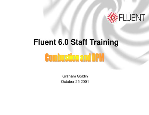 fluent燃烧教程
