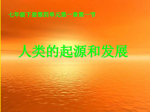 (全)人类的起源和发展PPT资料