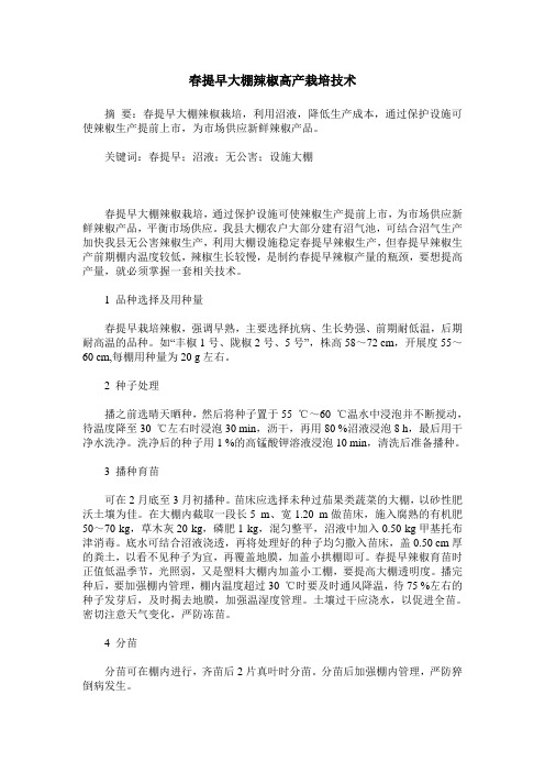 春提早大棚辣椒高产栽培技术