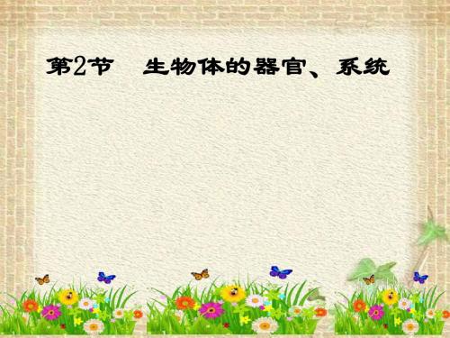 北师大版生物七年级上册4章2节生物体的器官系统课件