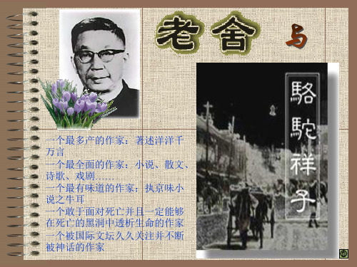 《骆驼祥子》课件PPT