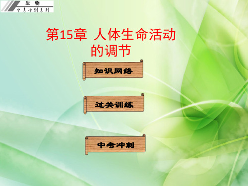 人体生命活动的调节ppt16 人教版