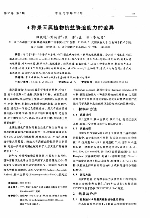 4种景天属植物抗盐胁迫能力的差异