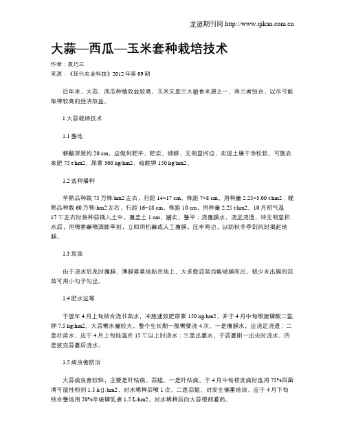 大蒜—西瓜—玉米套种栽培技术