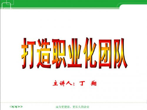 团队系列之一打造职业化团队