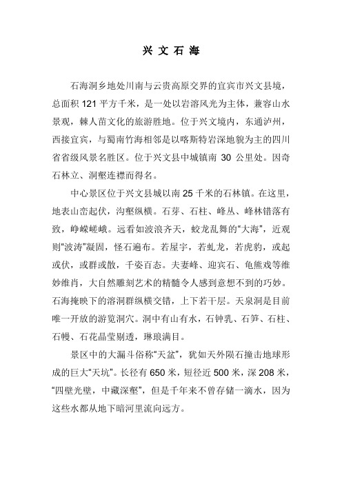 兴 文 石 海