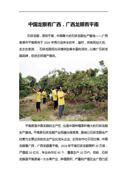 中国龙眼看广西,广西龙眼看平南