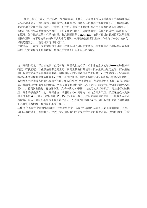 高压试验实习周记