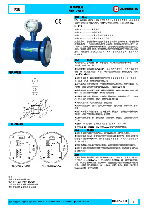 FEM100电磁流量计