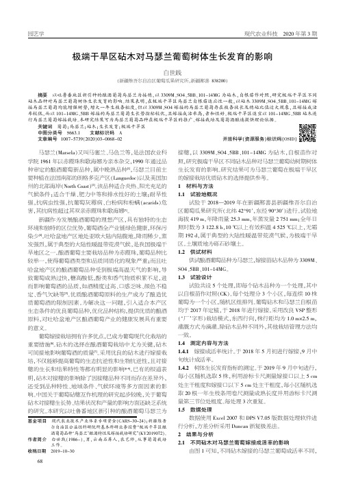 极端干旱区砧木对马瑟兰葡萄树体生长发育的影响