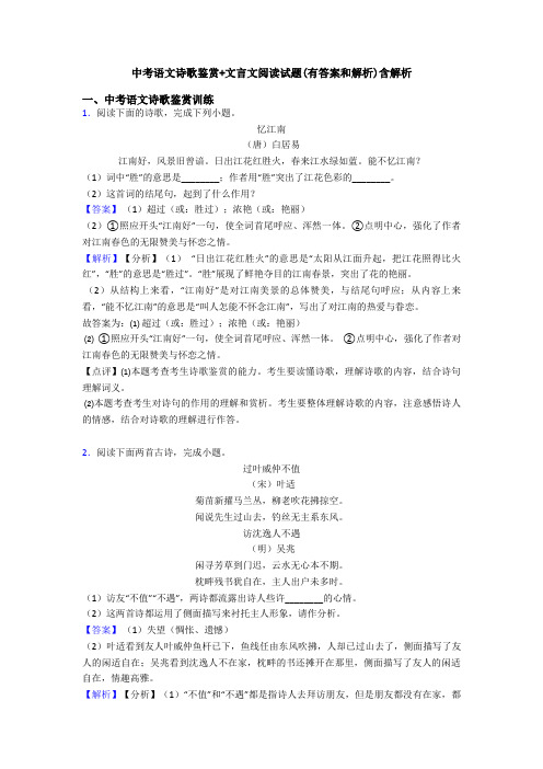 中考语文诗歌鉴赏+文言文阅读试题(有答案和解析)含解析