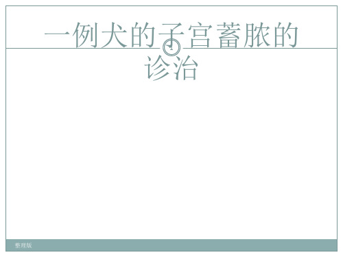 一例犬的子宫蓄脓的诊治