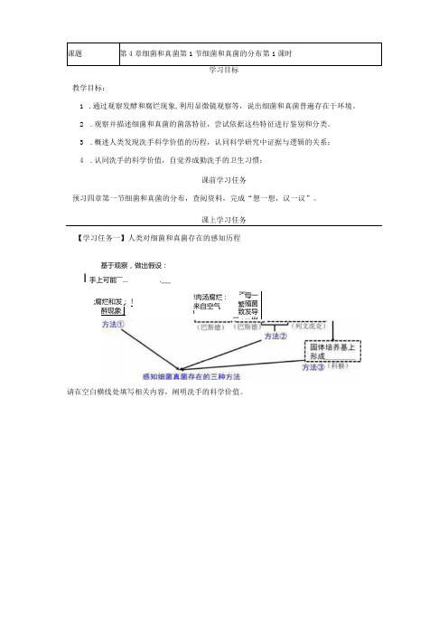 第一节细菌和真菌的分布学习任务单第一课时