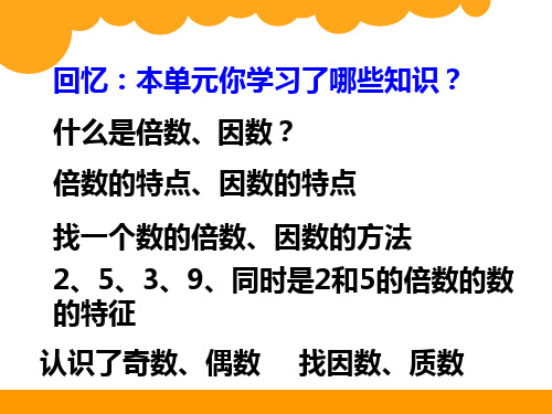 北师大版五年级上册数学《练习四》