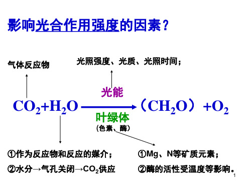 影响光合作用的因素及应用一轮复习课堂PPT