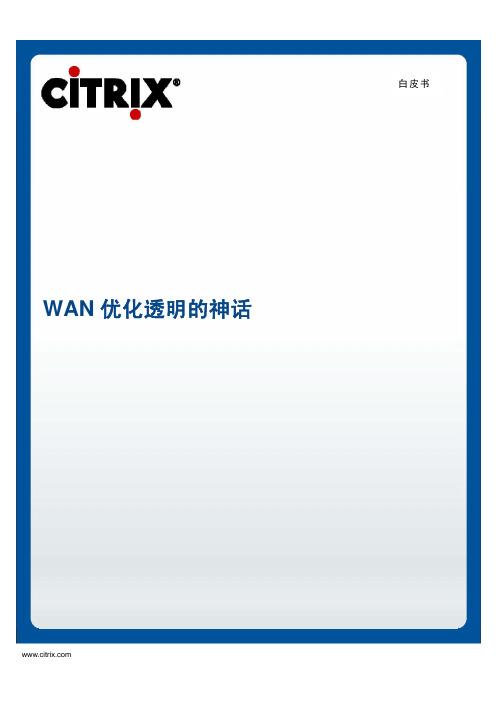 Transparency_Myth_WP-Chinese