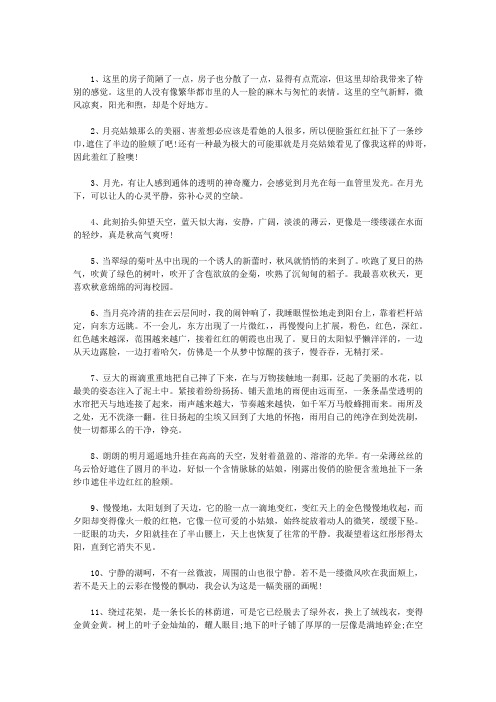 描写生动的句子,段落