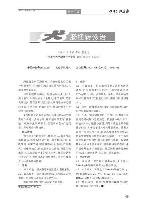 犬肠扭转诊治