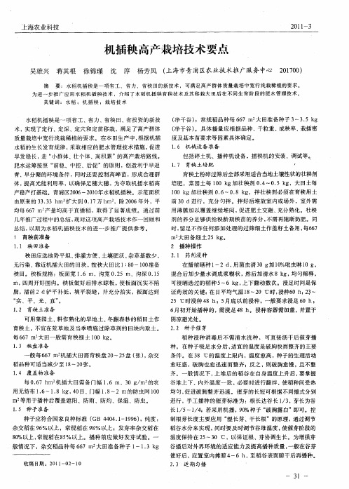 机插秧高产栽培技术要点