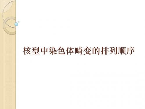染色体核型解读
