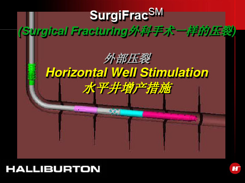 哈里伯顿-水平井增产措施-SurgiFrac Presentation- 中文