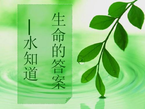 水知道答案(完整版)
