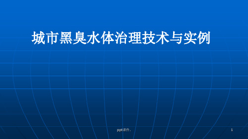 城市黑臭水体治理技术与实例ppt课件