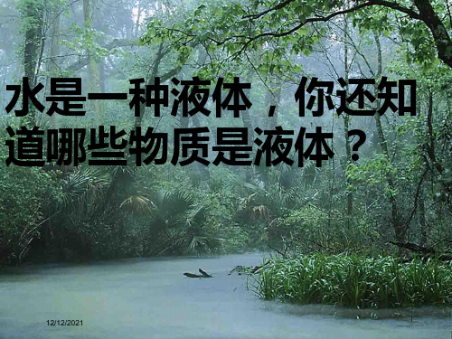 三年级科学上册 4.2《水和食用油的比较》课件(1)
