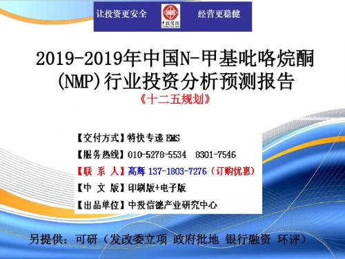 中国N甲基吡咯烷酮NMP行业市场投资调研及预测分析报告-PPT精品文档