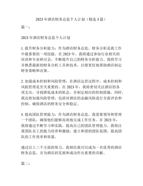 2023年酒店财务总监个人计划(精选3篇)