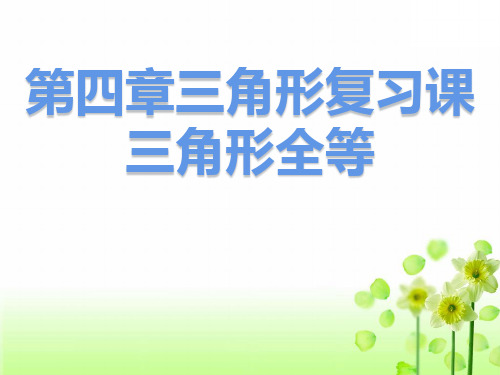 北师大版七年级数学下册第四章三角形复习课2