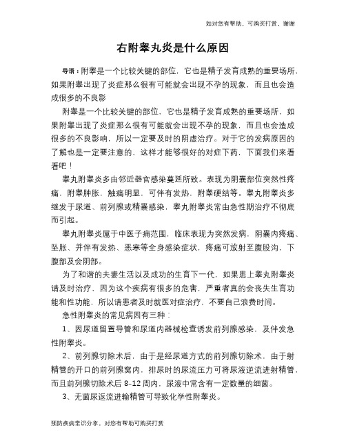 右附睾丸炎是什么原因