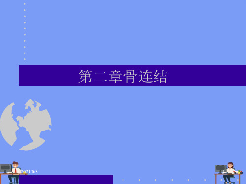 骨连结.完美版PPT
