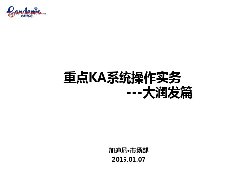 大润发系统操作实务