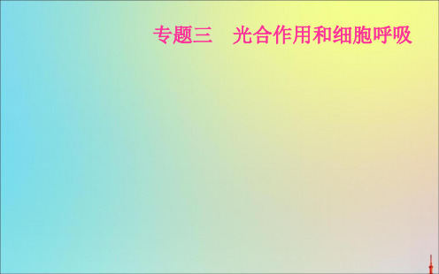 2020届高考生物二轮复习专题三考点三光合作用和细胞呼吸的实验探究课件