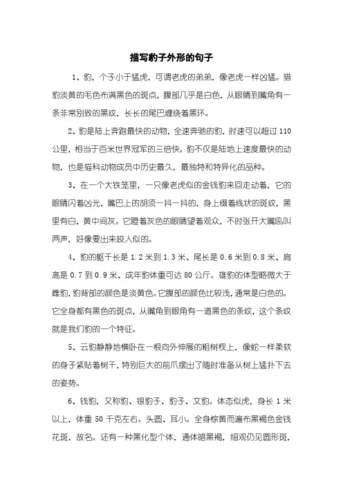 描写豹子外形的句子
