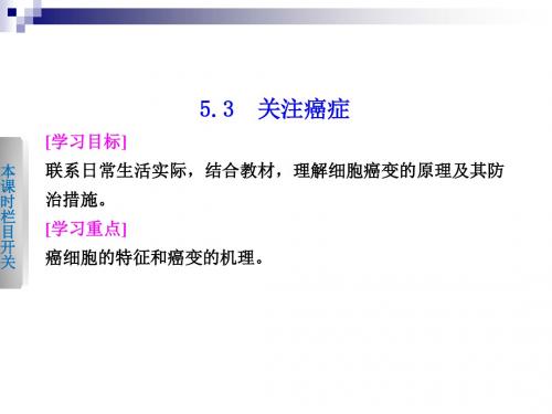 5.3 关注癌症课件(苏教版必修一)