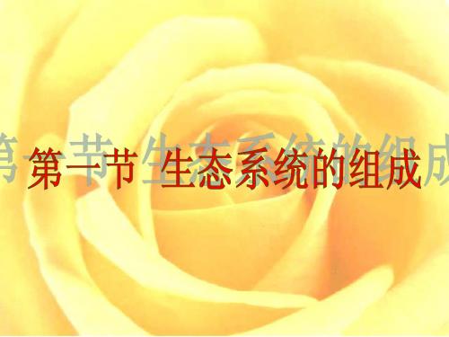 生态系统的组成