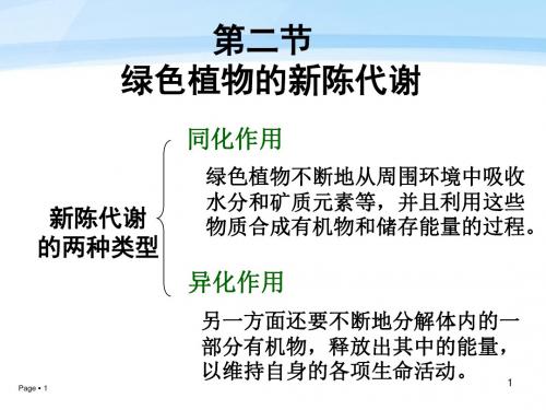 绿色植物的新陈代谢