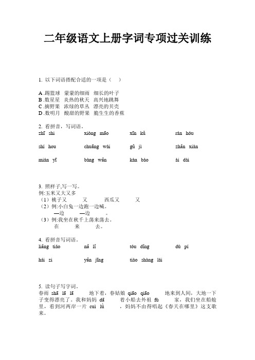 二年级语文上册字词专项过关训练